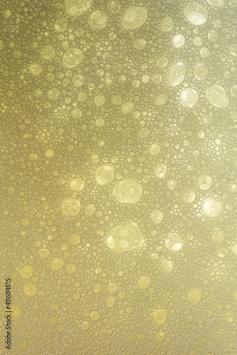 Beer. Light Beer with Bubbles and Foam Background