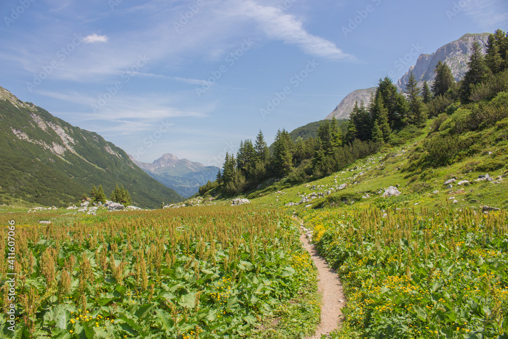 Fototapeta premium Lechweg in Österreich