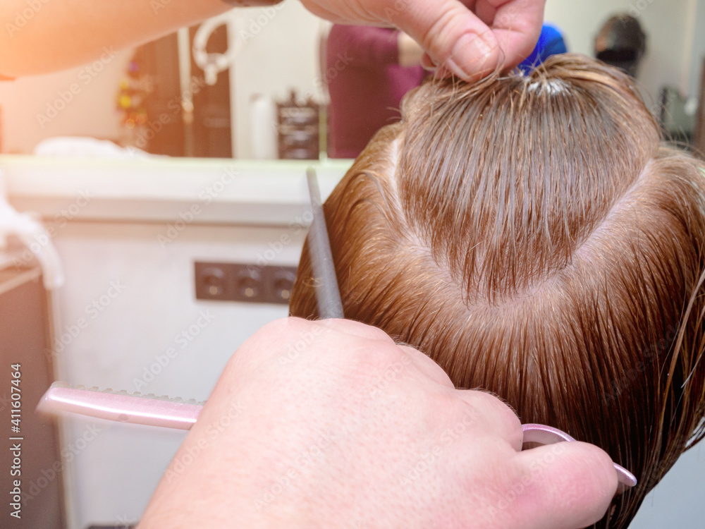 Fototapeta premium Hairdresser trimming hair with scissors. Hairstyling in progress