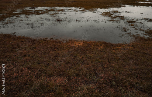 a flooded field in autumn
