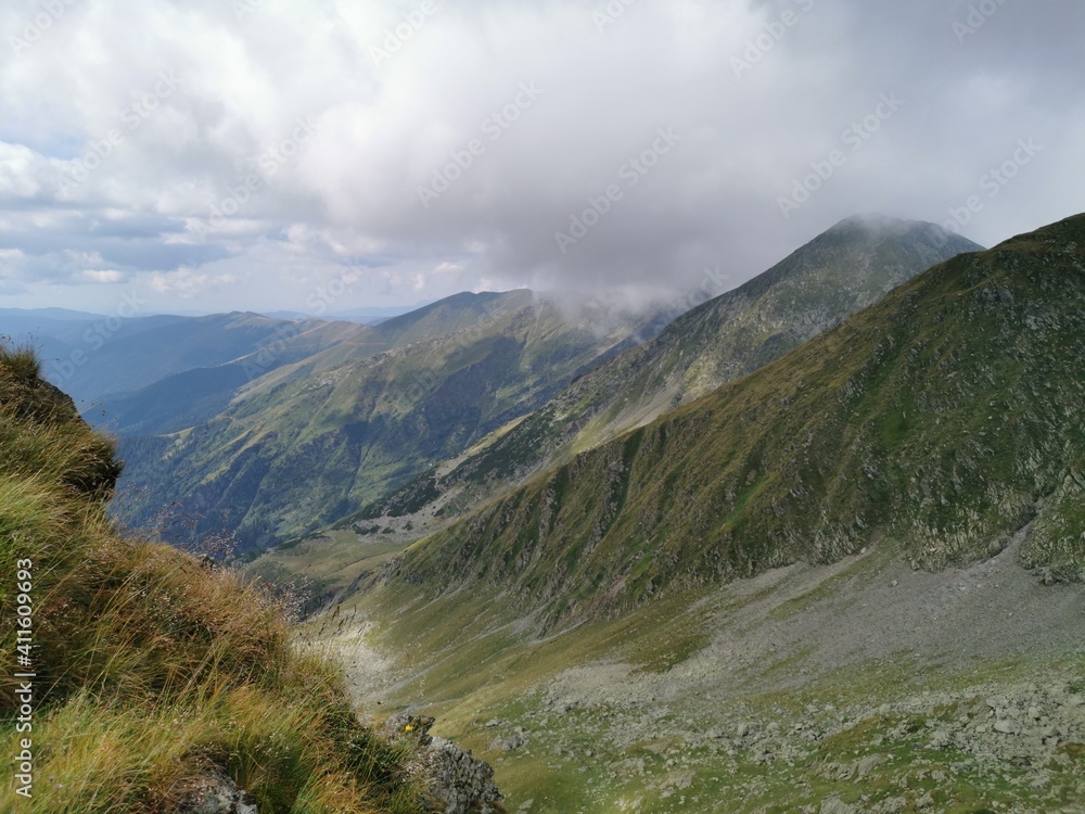 wilderness wilderness