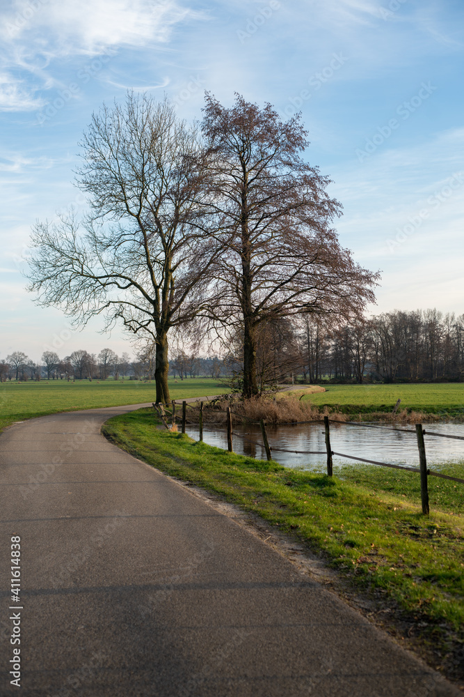 Trees along Slatsdijk (Swamp Dike) in Loenen (The Netherlands)