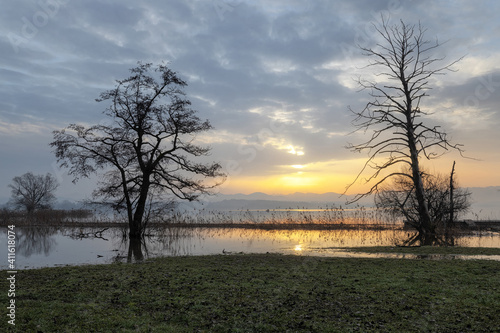 HOCHWASSER AM GREIFENSEE photo