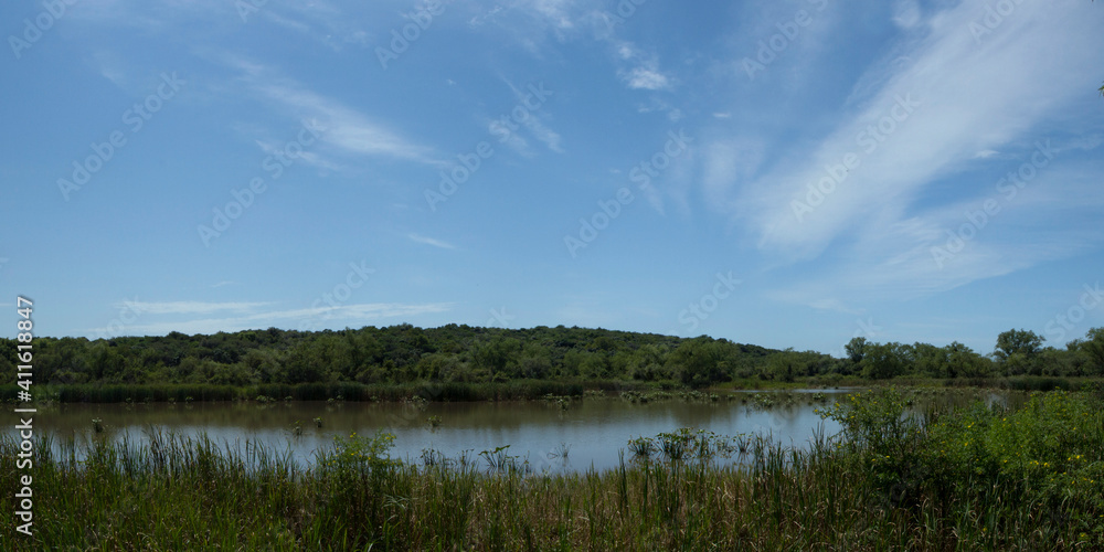 Wetland landscape. Panorama view of the tropical green forest, lake and reeds under a blue sky.