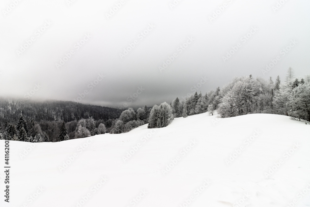 Zimowy krajobraz leśny w górach