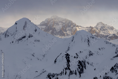 Die Schweizer Berge