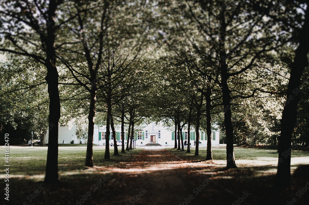 Fototapeta premium Allee