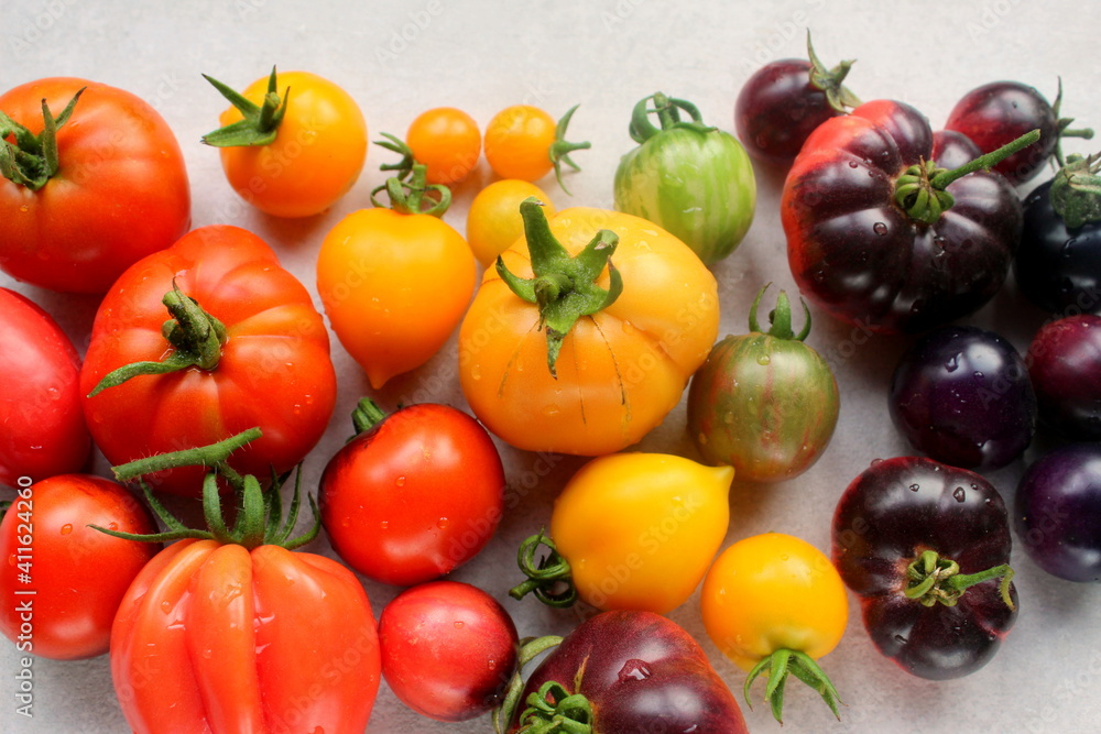 Fresh bright multi-colored tomatoes on a light background close-up selective focus. Fresh bright multi-colored tomatoes on a light background close-up selective focus.