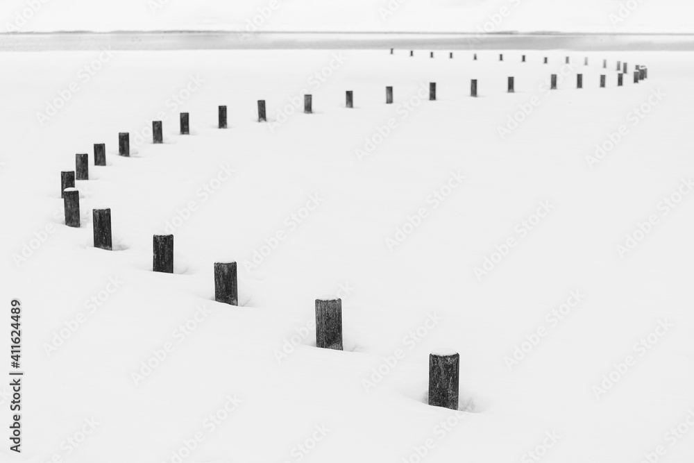 Fototapeta premium Frozen tree in a winter day in Alava, Spain