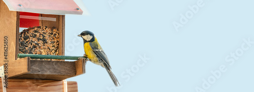 Banner with a balcony bird feeder to help for small city birds to survive during winter season, with copy space for text.