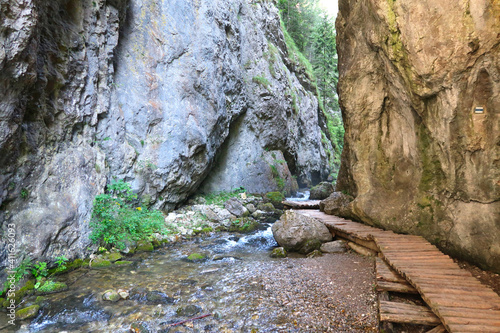 The canyon in Prosiecka Valley (Prosiecka dolina) in summertime with its typical wooden walking path, northern Slovakia, Europe