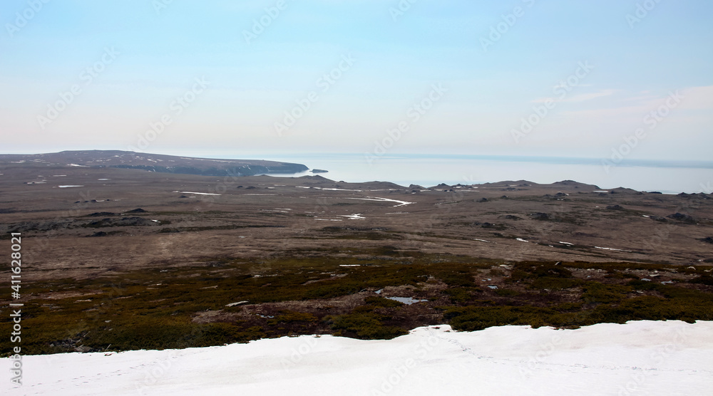 View of the coastal mountain tundra and thickets of cedar woodland in early summer.