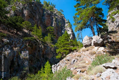 Agia Irini Gorge on Crete Greece - cliffs and forest