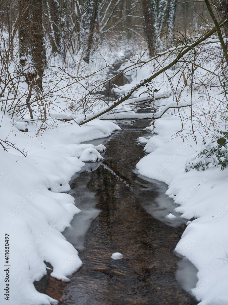 Bach im Wald