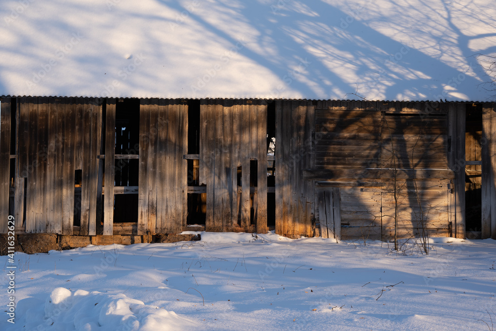 snowy winter day, large old barn facade where many boards are missing and warm sun shines on the wall