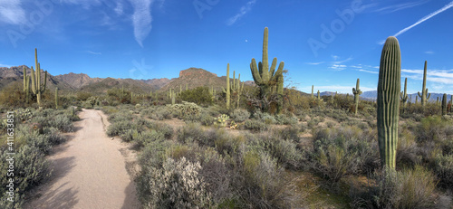 Beautiful Desert Landscape