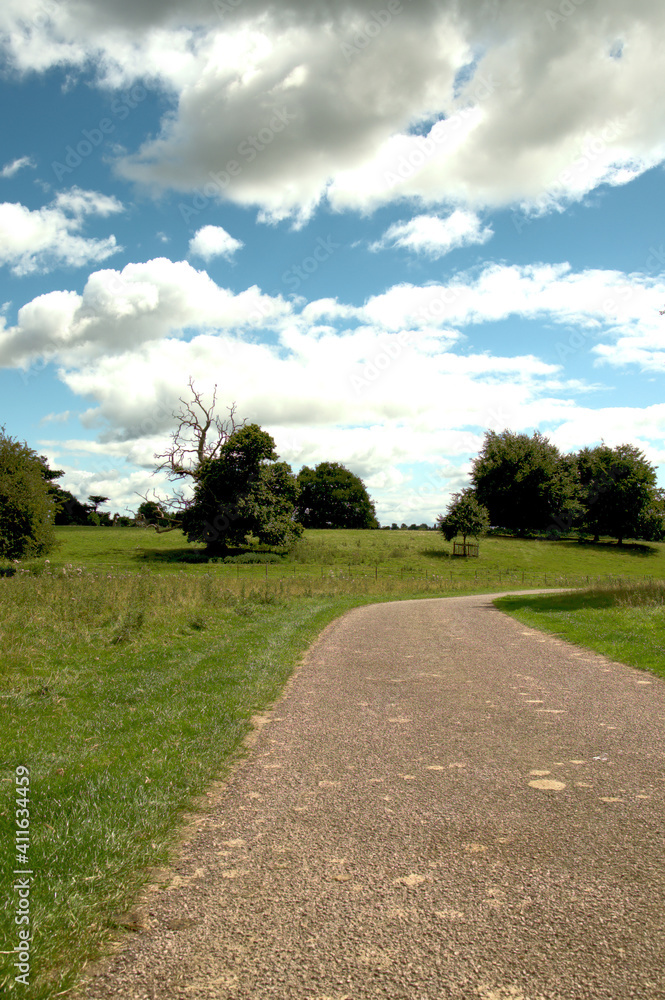 road in the park road in the park