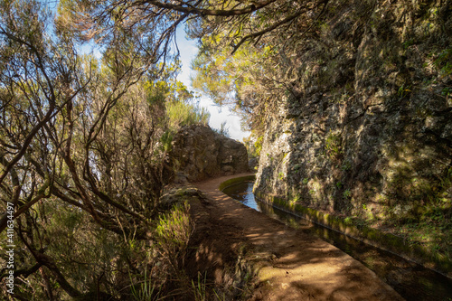 levada do alecrim