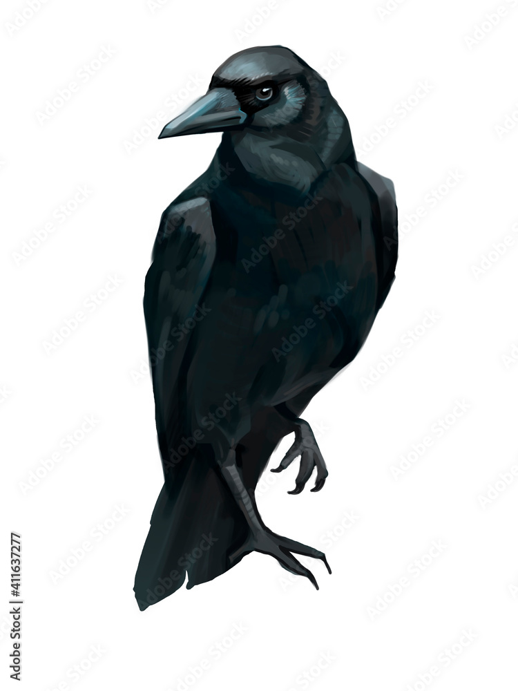 Fototapeta premium Hand drawn illustration raven print, notebook design art. black crow sketch element. animal collection. isolated graphic on white background. bird digital painting