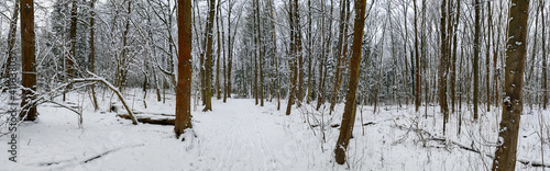 ein winterlicher Wald, mit sehr viel Schnee © Robert Leßmann