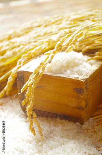 Wallpaper Mural イネと米 Torontodigital.ca