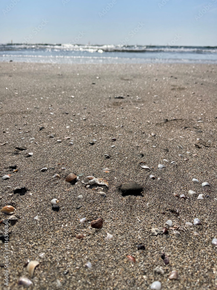 砂浜 砂浜