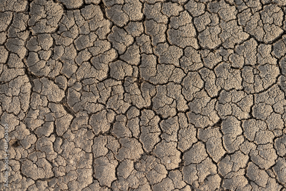Dried clay. Dried clay.