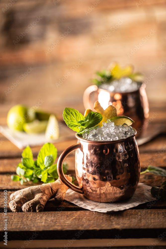 Moscow Mule highball cocktail and a long vodka drink with fresh lime, ginger beer, and mint Moscow Mule highball cocktail and a long vodka drink with fresh lime, ginger beer, and mint