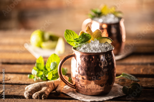 Photography Moscow Mule highball cocktail and a long vodka drink with fresh lime, ginger bee