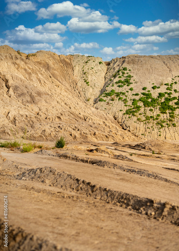 nature in a clay quarry