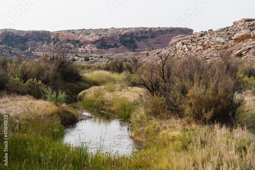 Calm Water in the Desert, Utah