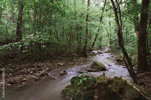 Foto Peaceful Stream in Arkansas