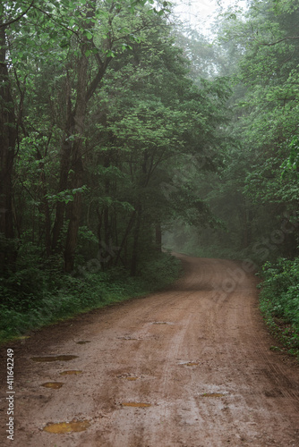 Wet Dirt Road on Foggy Day in Arkansas