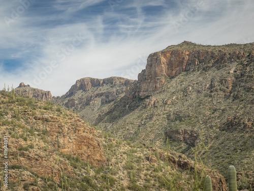 Beautiful Desert Landscape