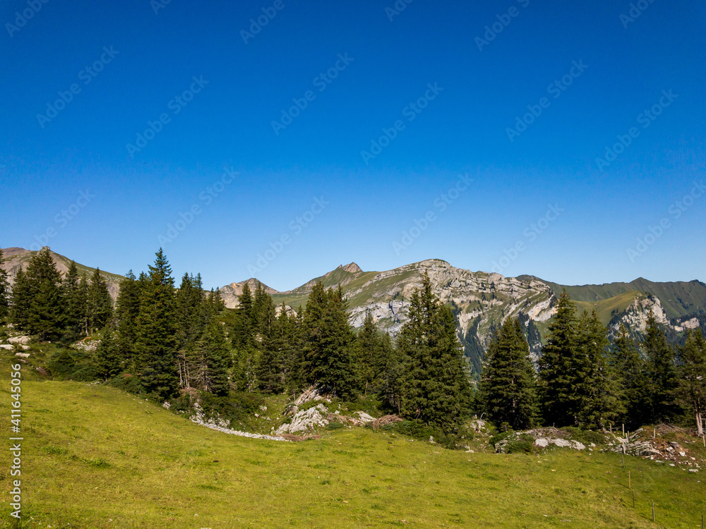 Mountain Landscape - Switzerland