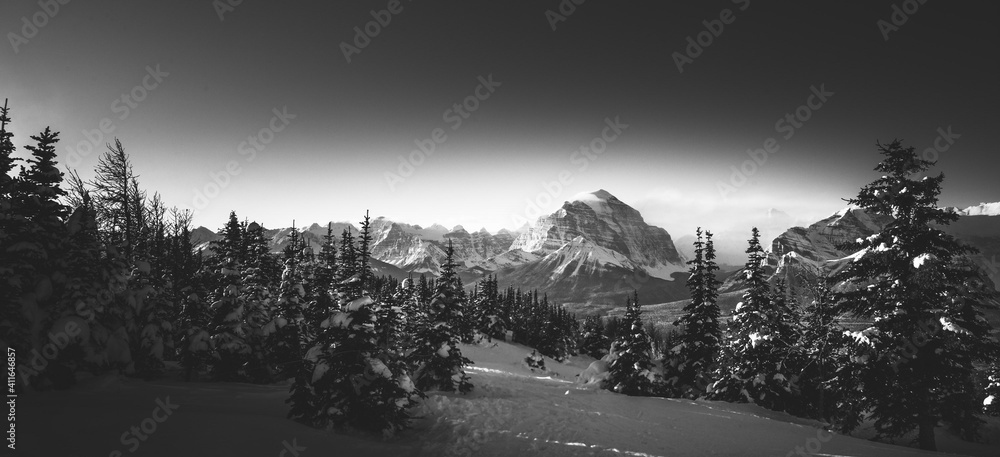 Fototapeta premium winter forest mountain landscape 