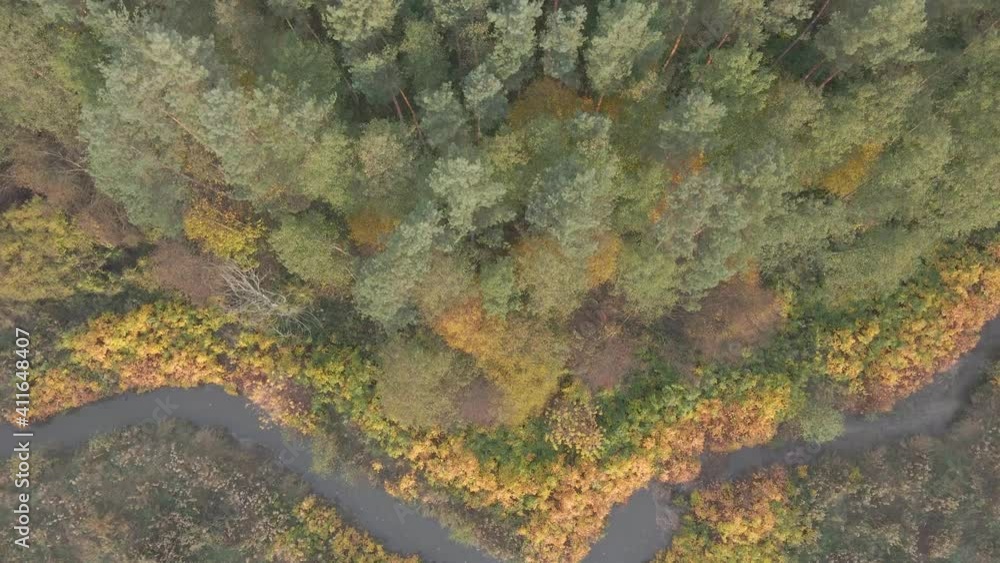 Aerial view of the forest with brook in autumn Aerial view of the forest with brook in autumn