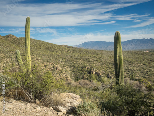 Beautiful Desert Landscape