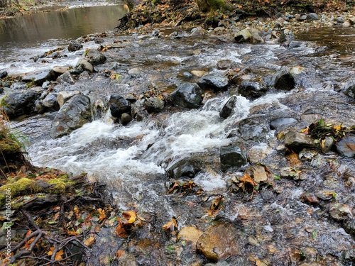 Pacific Northwest river
