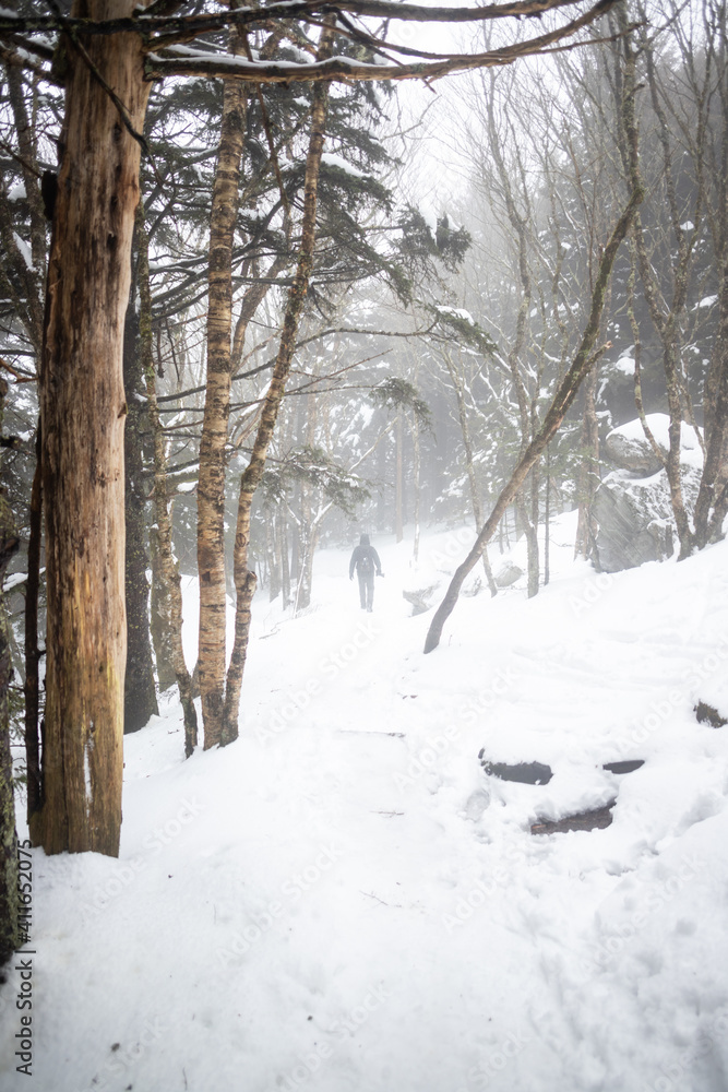 Hiking on the Appalachian Trail at Roan Mountain in the Winter Hiking on the Appalachian Trail at Roan Mountain in the Winter