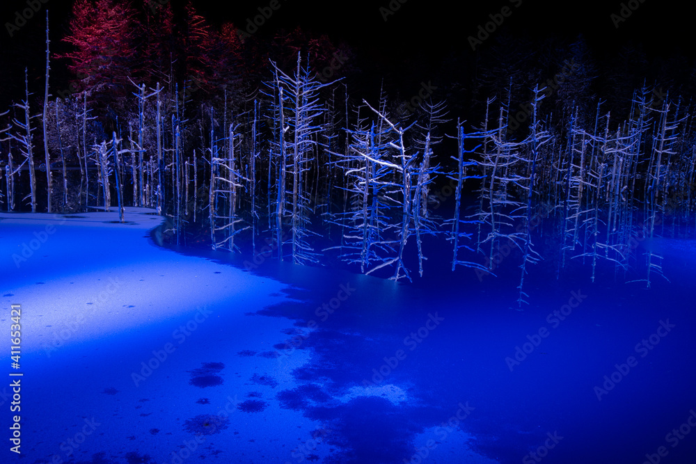 冬の美瑛町 青い池ライトアップ