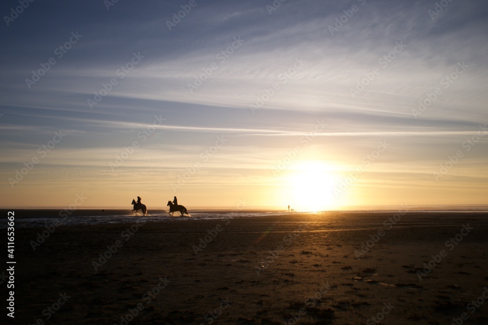 Horses on the Beach