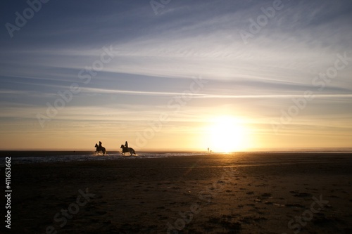 Horses on the Beach © Ash