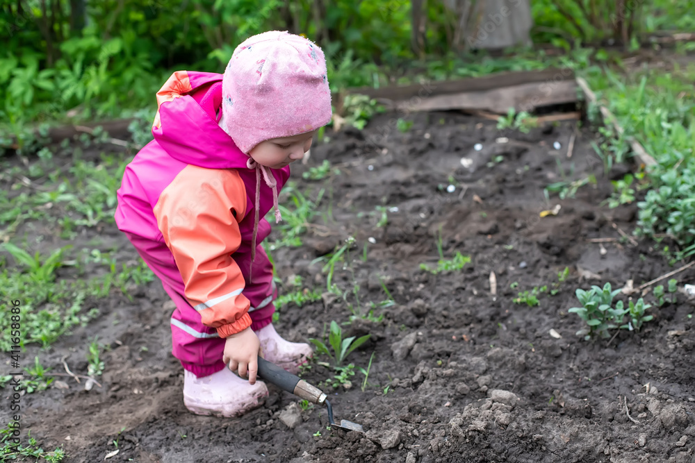 Kid planting Vegetables with trowel. Small girl planting seedling in organic garden. Spring garden concept. Kid planting Vegetables with trowel. Small girl planting seedling in organic garden. Spring garden concept.