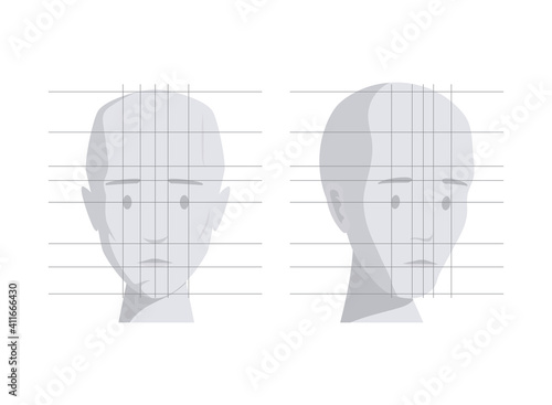 Model of human head in different angles vector flat illustration isolated on white background. Human face, face chart with proportions for draw learning. Face and head ideal proportions.