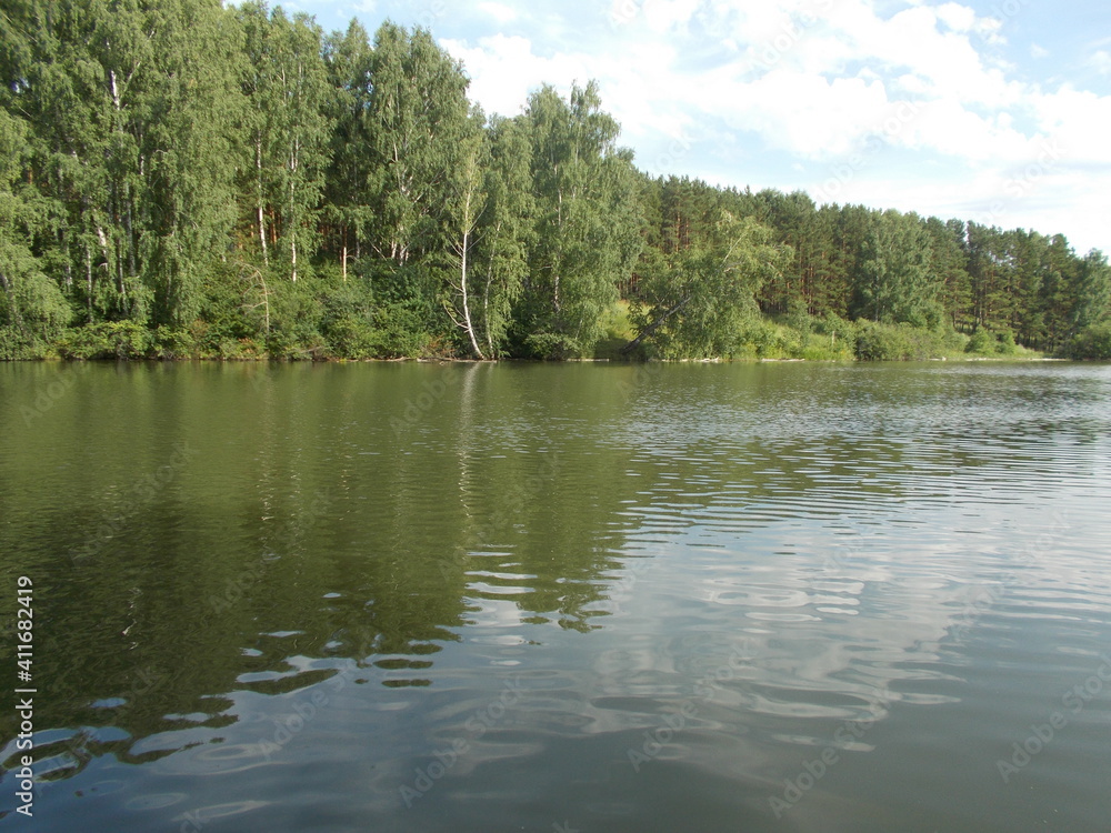 River. Course. Forest on the shore.
