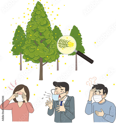 Illustration of cedar tree and pollen pollinosis