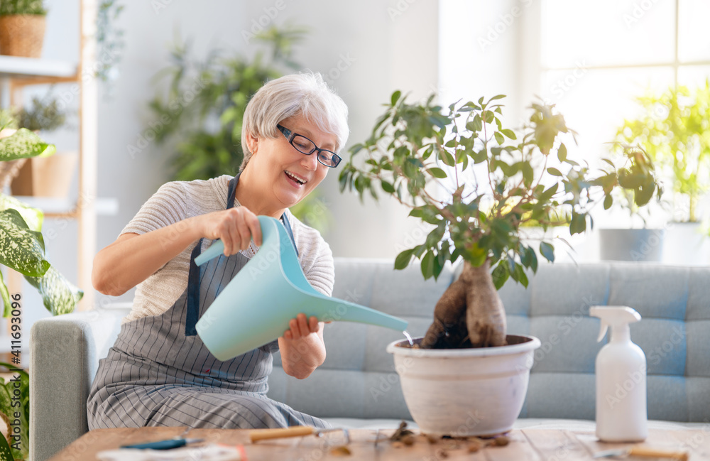 Woman caring for plants Woman caring for plants