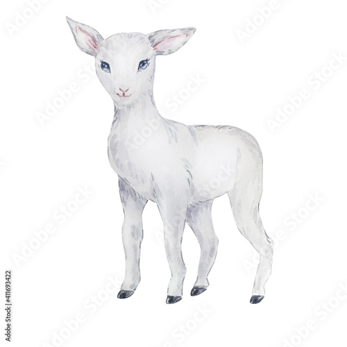 Watercolor illustration white lamb  Easter image