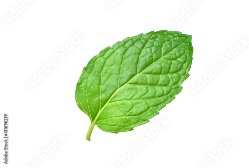 Close-up large fresh Mint leaf isolated on white background. clipping path.
